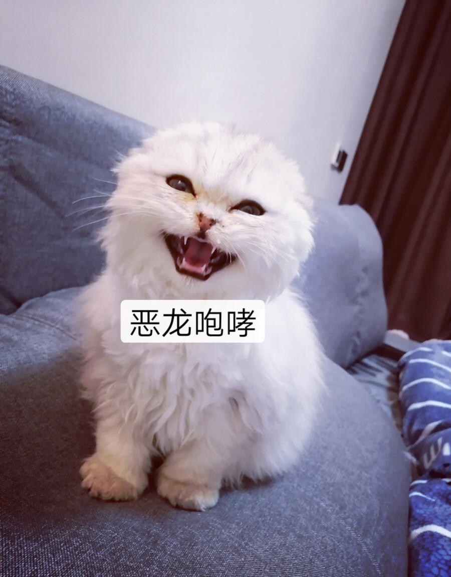 src-TVRZNMTY4ODQyNTQ1MwaHR0cHM6Ly9waG90by50dWNob25nLmNvbS8xNzIzNzgzNy9mLzczMDYwNjgyLmpwZw==.jpg