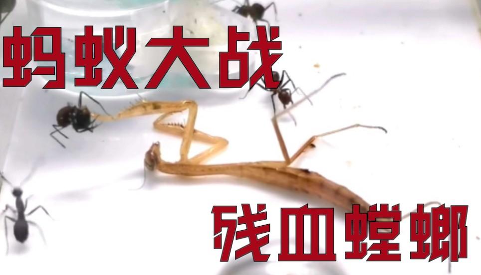 死或生6第七难度：玩家噩梦现实化！