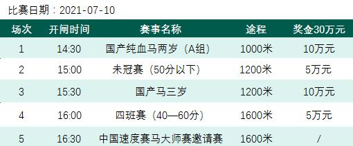 赛马大亨的冠军秘籍：赛程攻略揭秘！