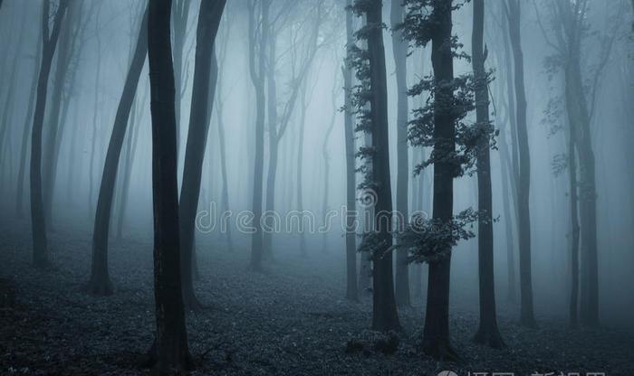 当夜幕降临，黑暗笼罩大地，恐怖黎明微光面纱轻轻展开