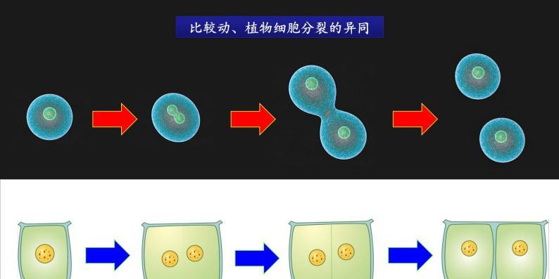 神秘美妙：安卓细胞分裂6游戏评测