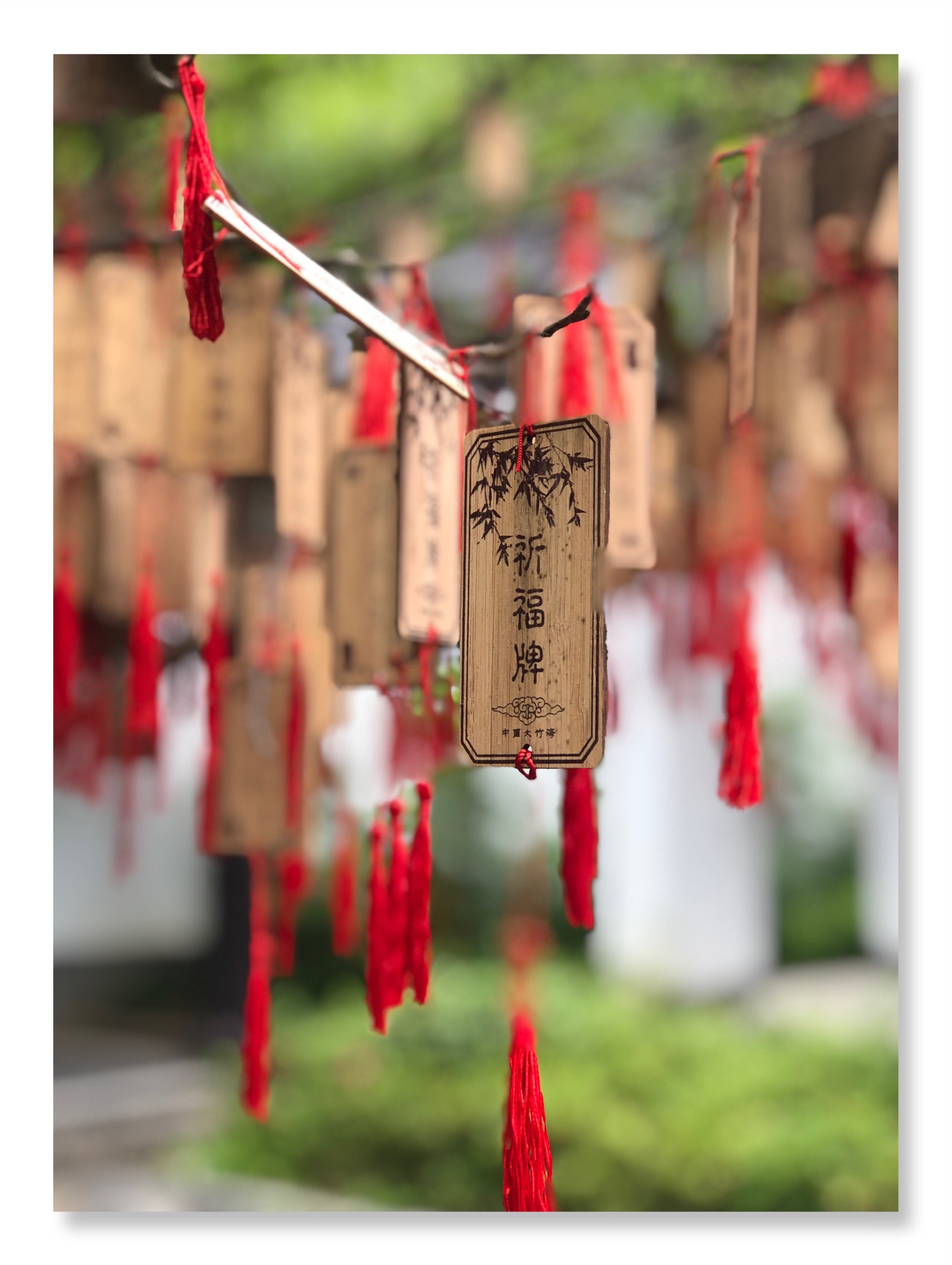御龙在天祈福台_御龙在天祈福技巧_御龙在天新区没有祈福台