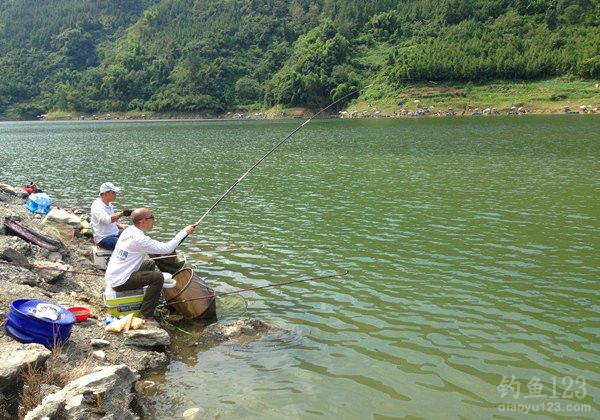 河流野钓鲫鱼视频_视频河流鲫鱼野钓图片_野河钓大鲫鱼的视频