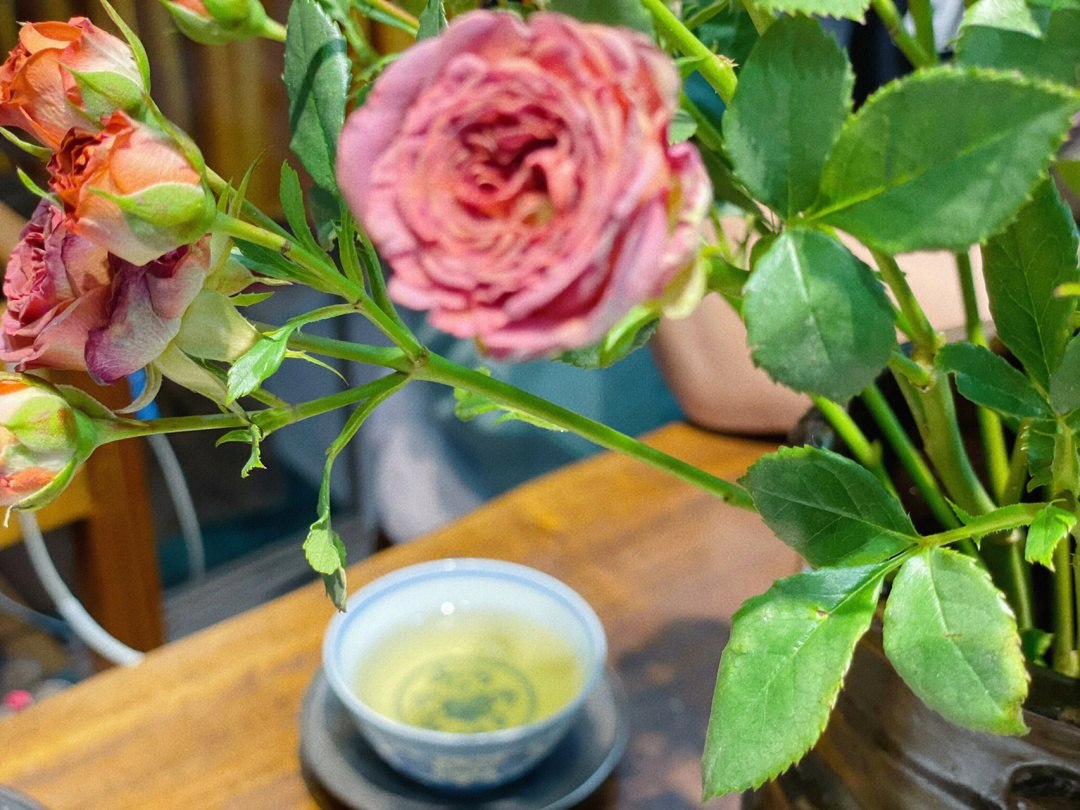 小子爱找茶03_那小子爱找茶_茶小子奶茶店