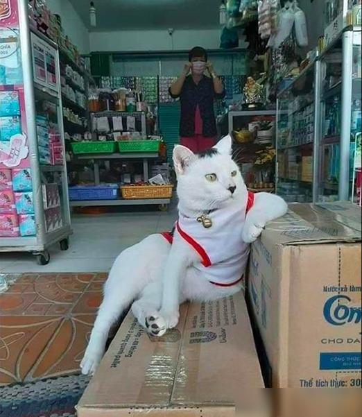 神秘营地新bug：究竟发生了什么？