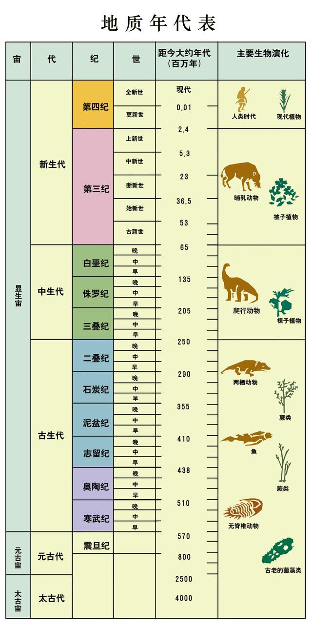 神秘化石龙：地球上的史前绝种生物