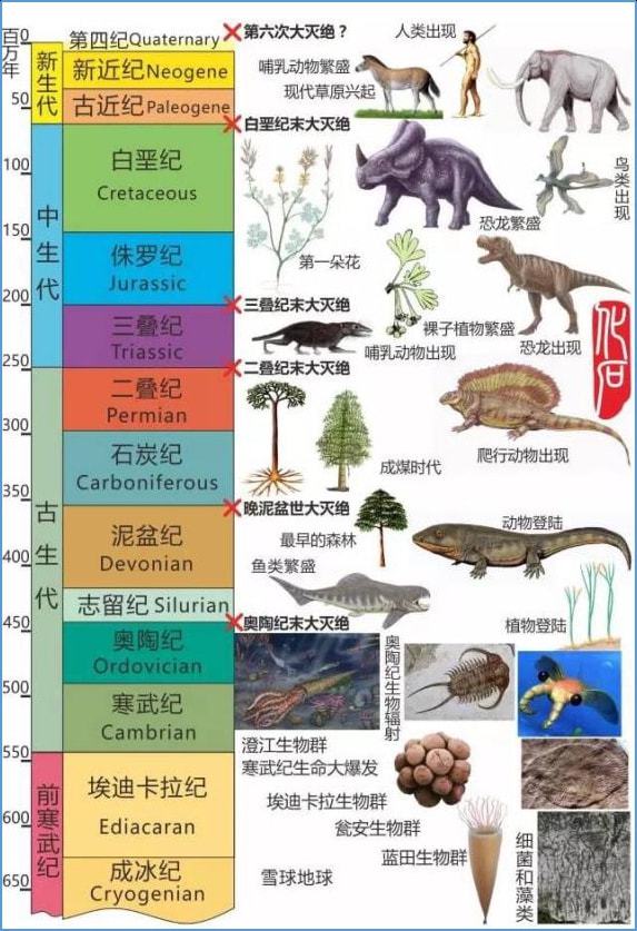 化石龙怎么获得_化石龙和化石鱼怎么合成_化石龙