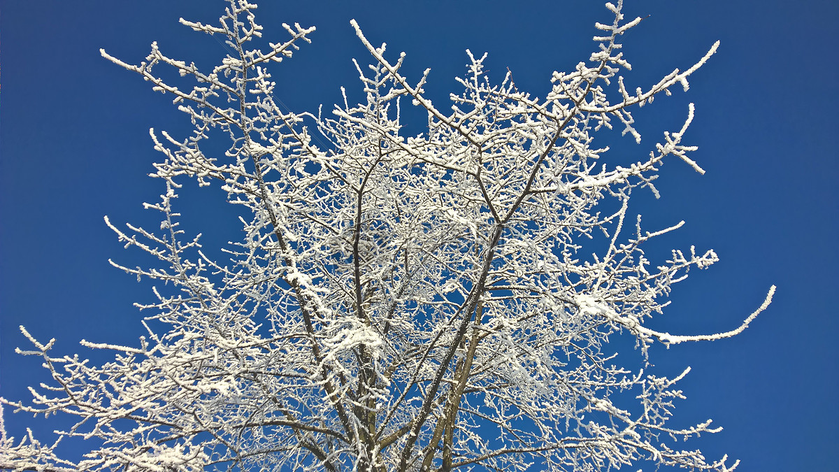 冰雪姐妹是哪里的人_江河源简谱冰雪姐妹_冰雪姐妹