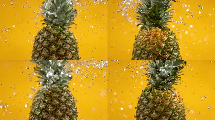 菠萝蜜视频在线免费观看_黄色手机视频在线免费观看_闺蜜爱人2015免费观看