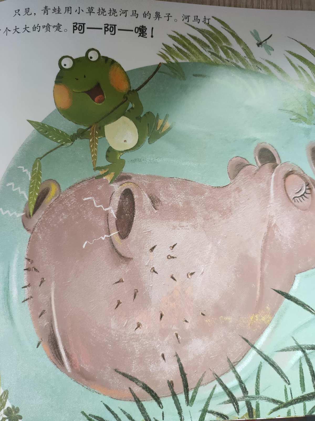 河马app是干什么的_河马app_下载河马app