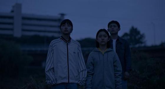 蜂鸟手机影院高清在线观看_蜂鸟影院电视剧_影院高清观看在线蜂鸟手机视频