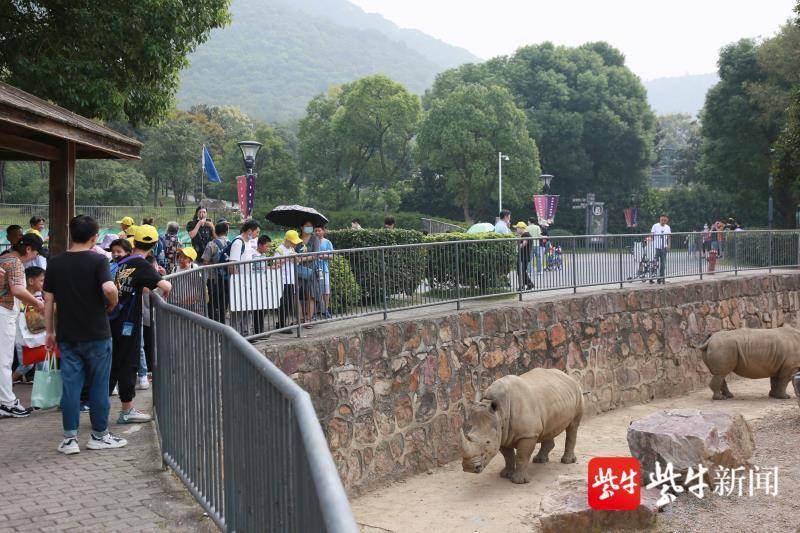 动物园大亨_动物园大亨手游_动物园大亨水族馆