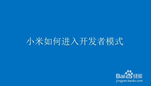 小米的开发者选项在哪里设置_小米开发者选项全部选项详解_小米开发者选项模式