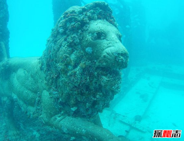 深海超越_深海超越好玩吗_深海超越手机版下载