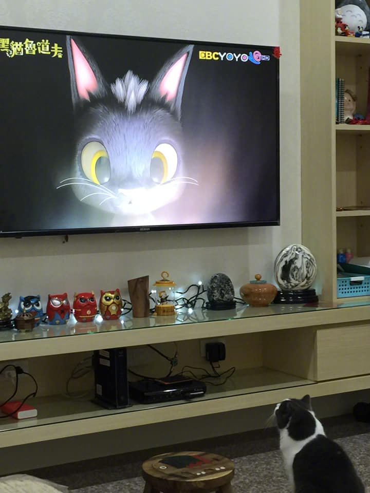 在线猫看病_看杨红樱笑猫日记在线阅读_快猫在线看