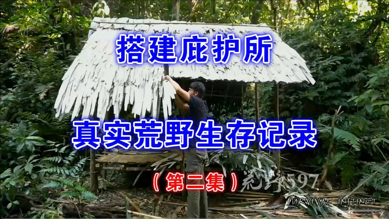 求生之路世界第一喷_求生之路世界观_我的世界求生之路