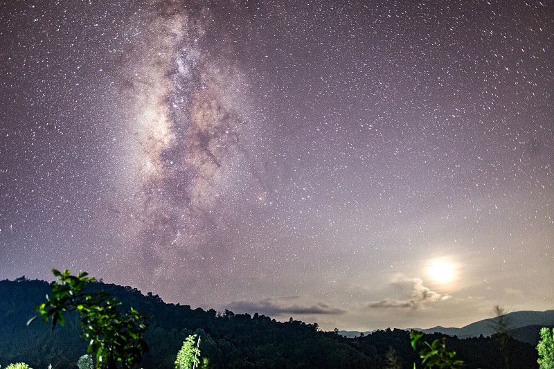 星光遇见雨林，大自然与你相约