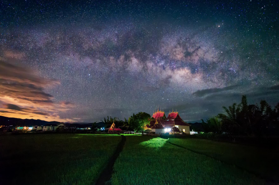 光遇雨林散落星光在哪_光遇雨淋散落的星光_光遇雨林散落的星光
