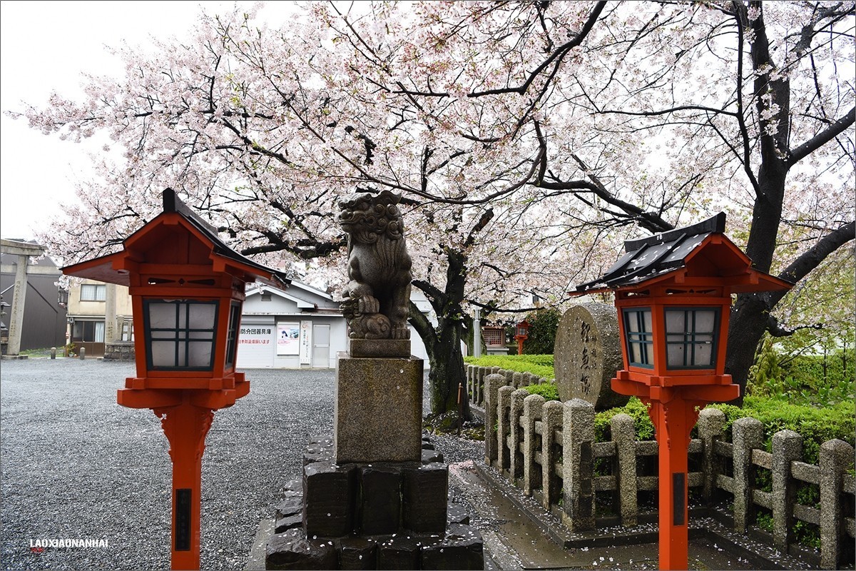 守矢神社现实原型_守矢神社汉化组_守矢神社