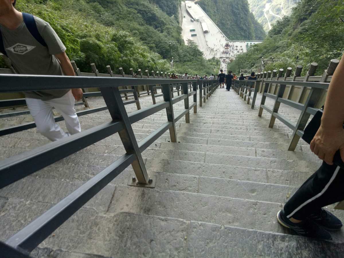 天梯是啥食物_天梯是什么_天梯是什么意思