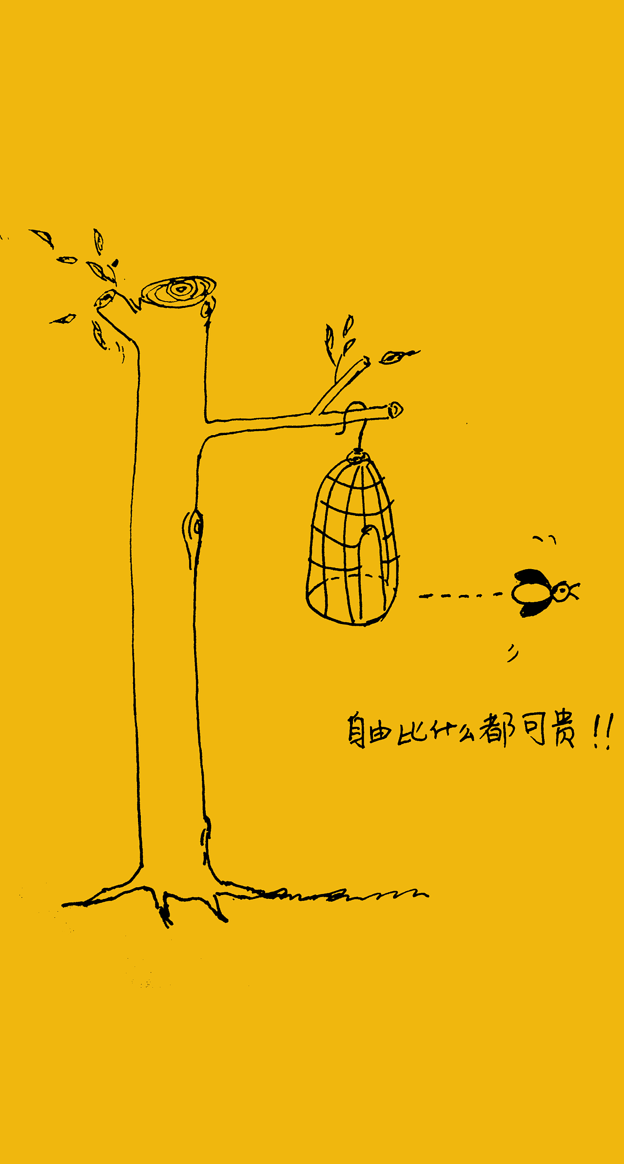 永恒自由：翱翔于天际
