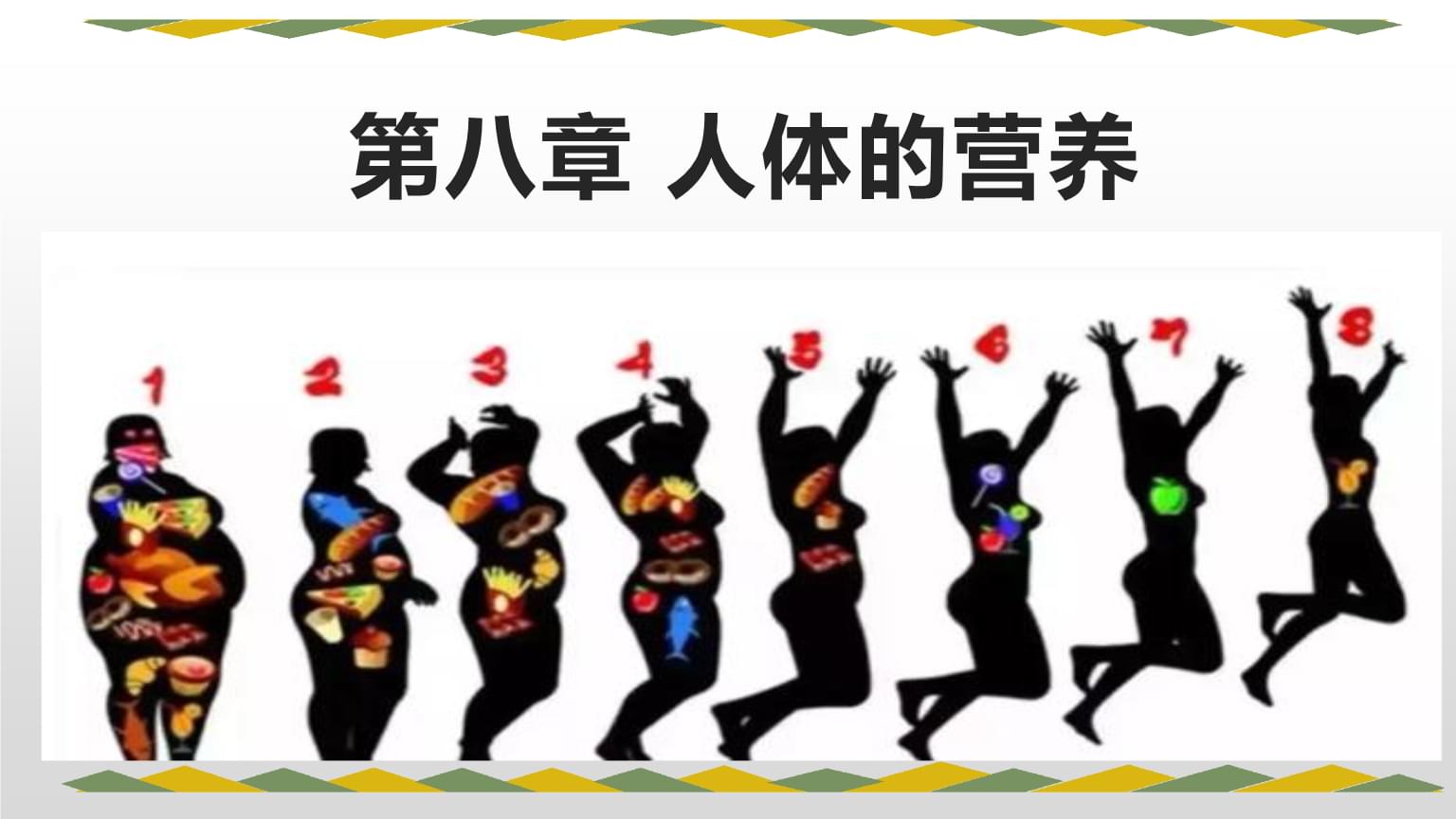 探索身体的游戏_探索身体_探索身体免费阅读下载