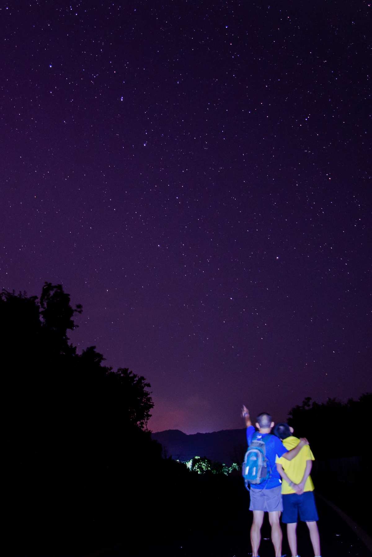 烁星果种子怎么获得_烁星生物_星烁