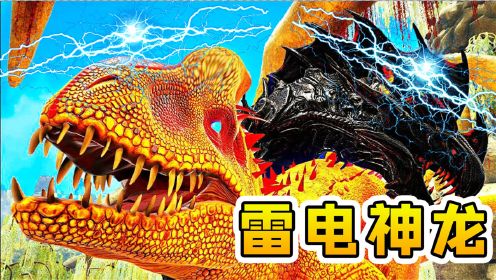 雷狼龙_雷狼龙_雷狼龙