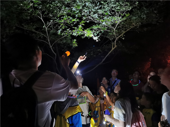 海祁岛：大海中的神秘宝藏