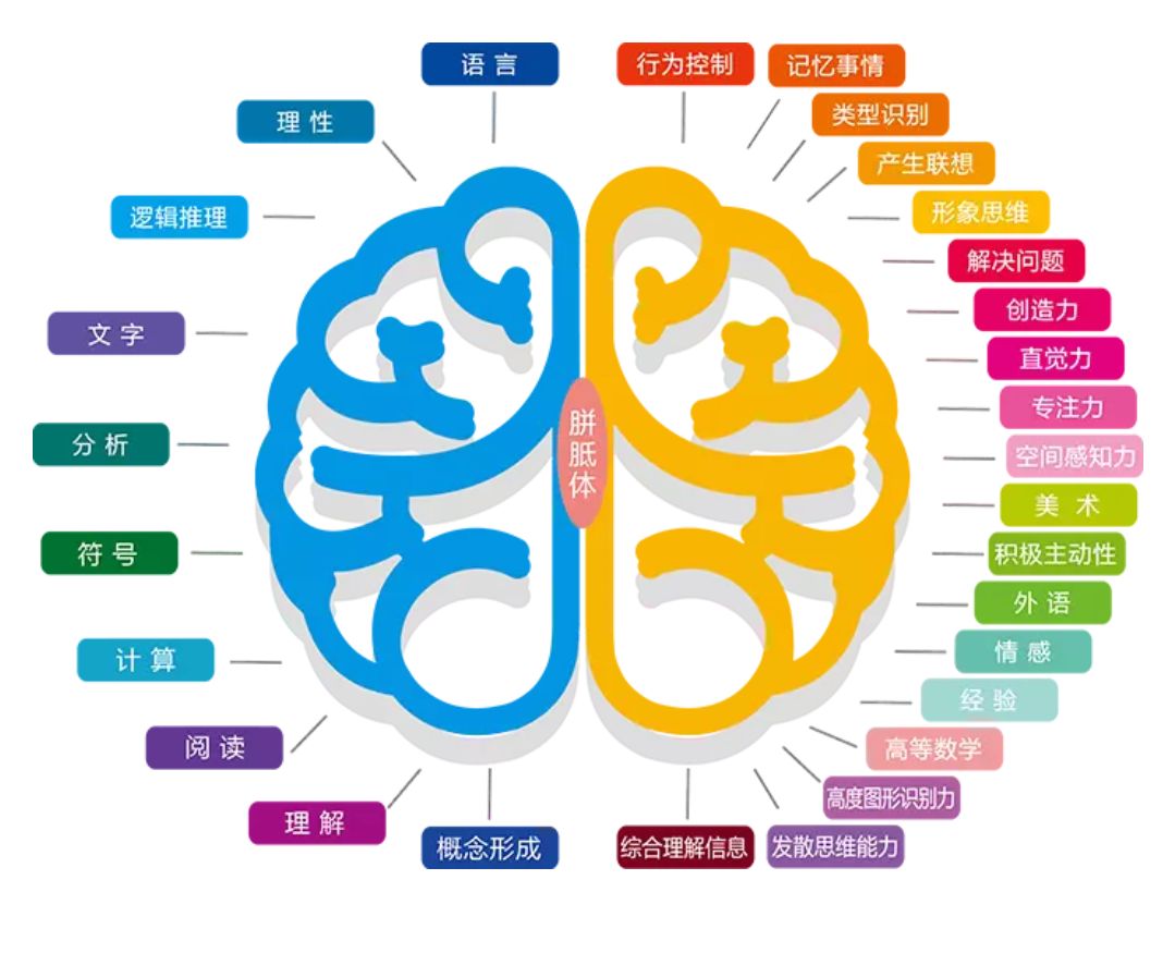 虚拟学校英语_虚拟学校的英文_虚拟学校
