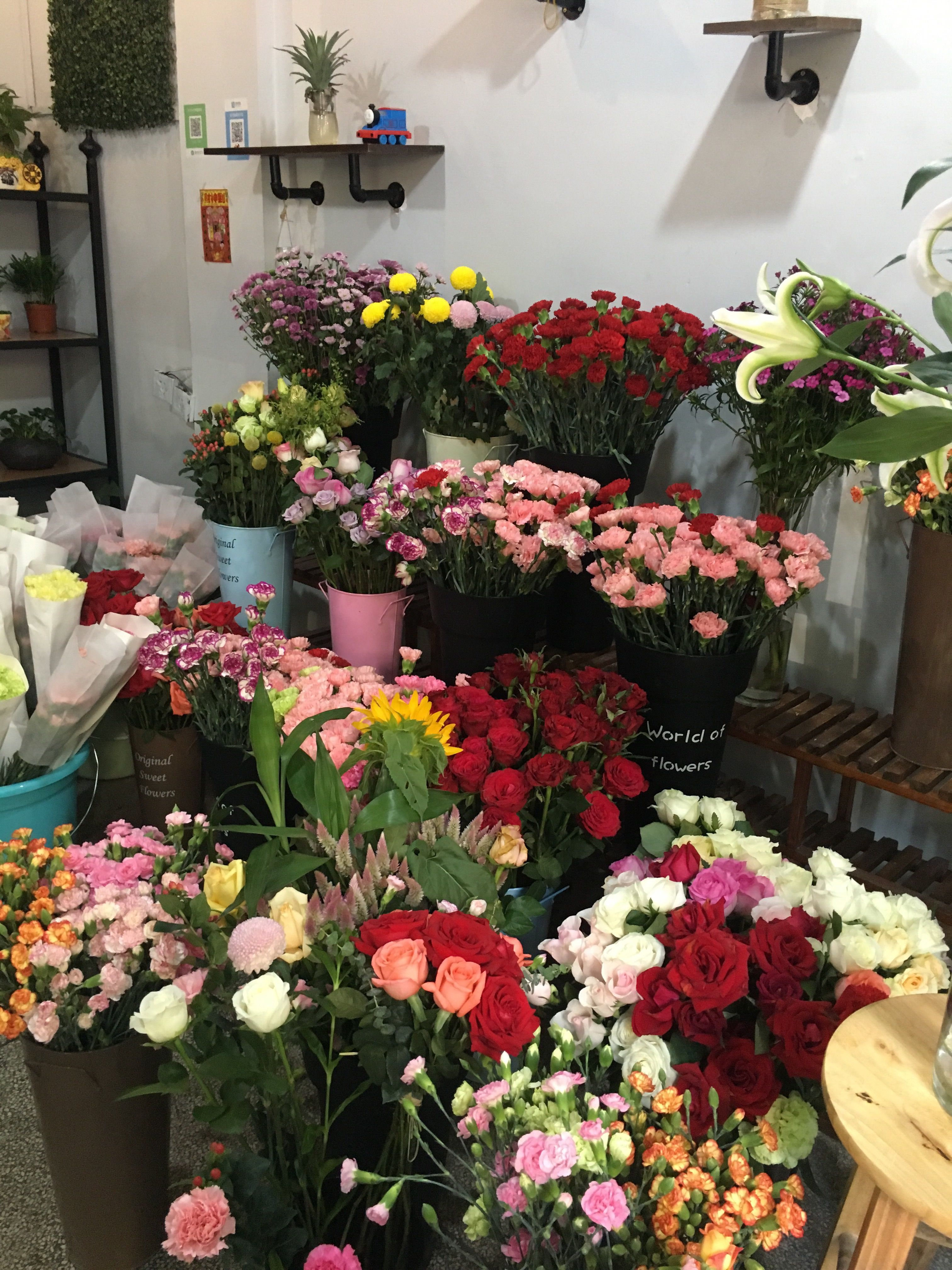 花季v_16岁的花季_花季v3.070