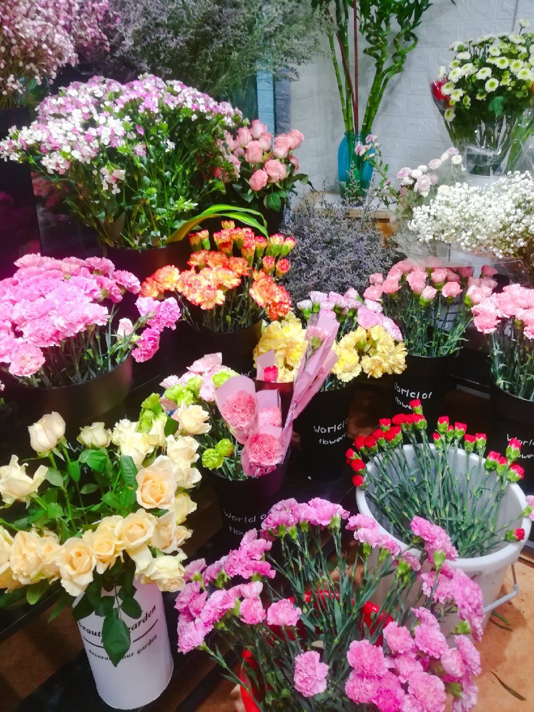 16岁的花季_花季v_花季v3.070