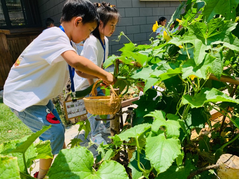 采药师_采药师刮痧板是名牌吗_采药师品牌简介