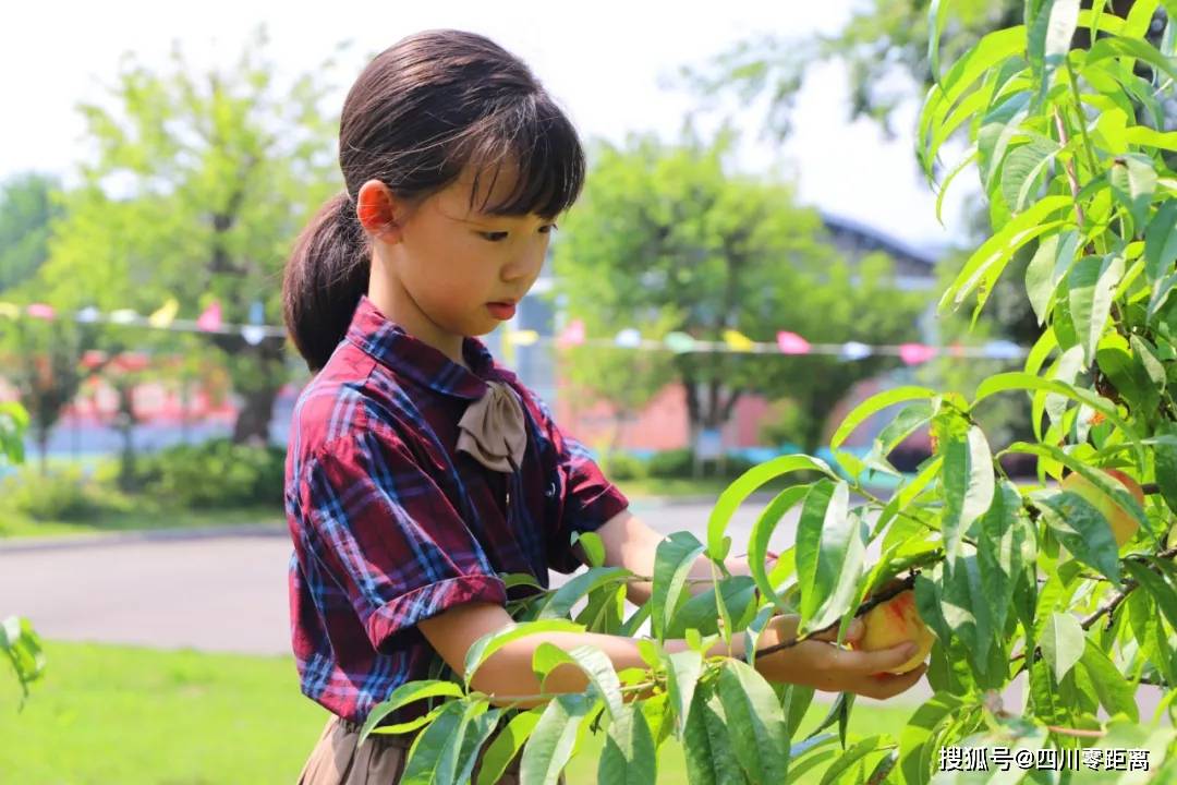 采药师品牌简介_采药师刮痧板是名牌吗_采药师
