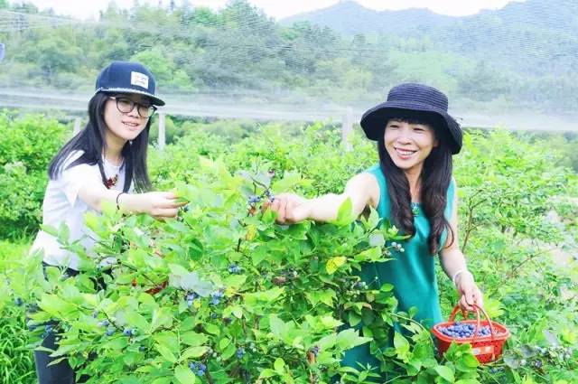 采药师_采药师品牌简介_采药师刮痧板是名牌吗