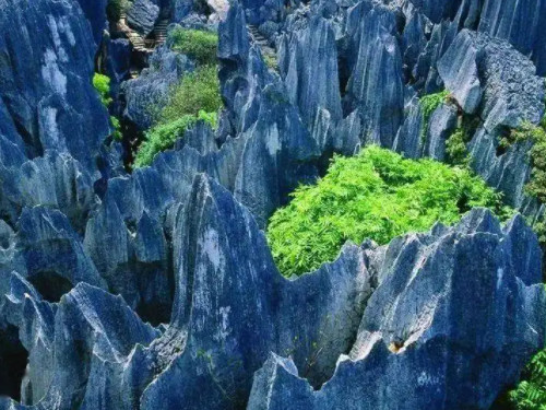 山海志研究员深耕多年，揭秘思越木结构奇秘