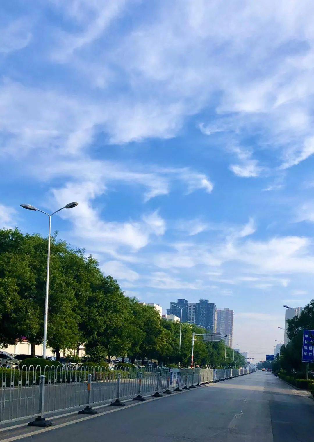 生命蓝灵_生命蓝灵为什么不能捕捉_生命蓝灵在哪里可以抓