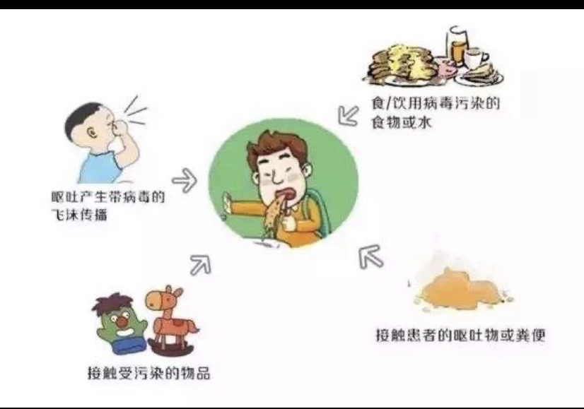 阿瑞斯病毒二_病毒阿瑞斯破解版_病毒阿瑞斯破解版无限金币