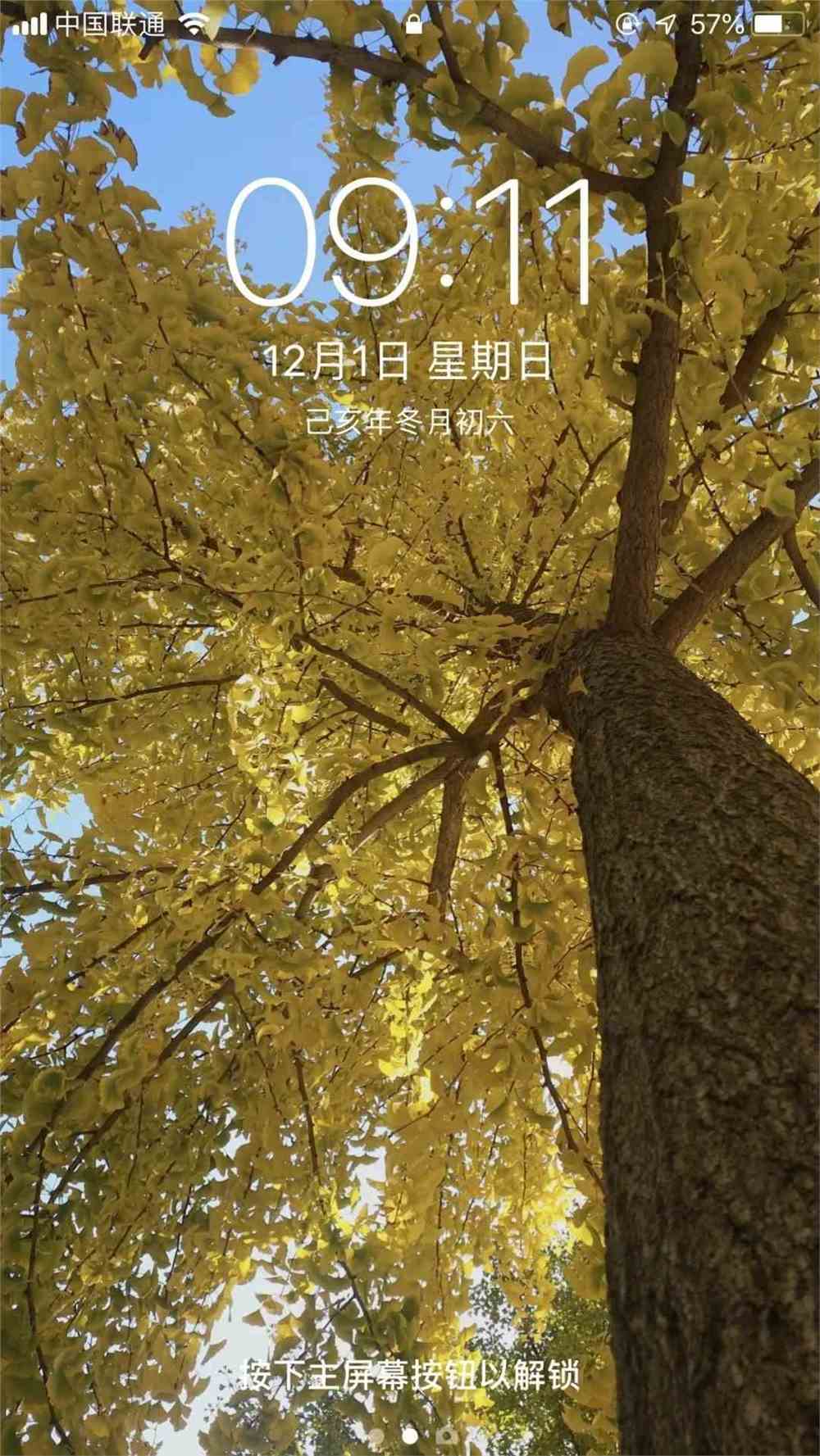 意树_西安天地源枫林意树_意树男装