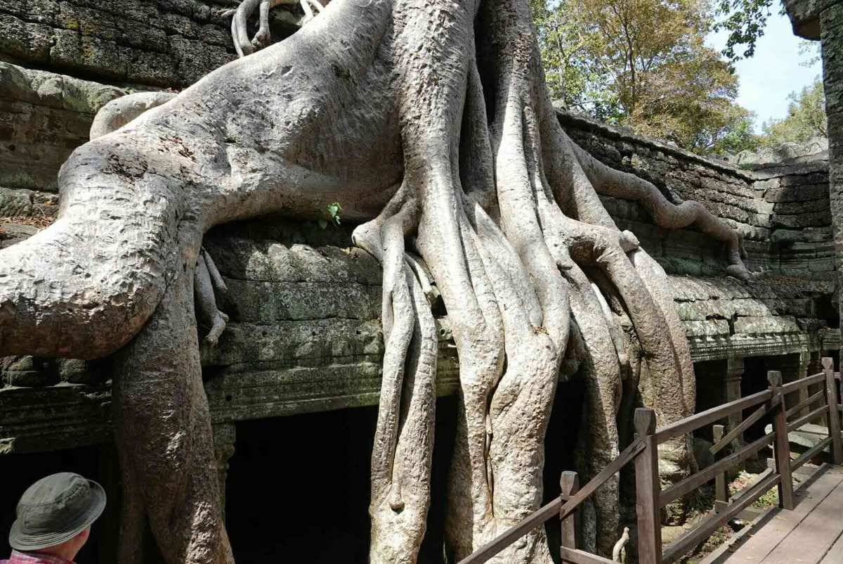 西安天地源枫林意树_意树_意树男装