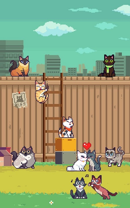 猫汤游戏_游戏猫汤怎么样猫才能不重复_游戏猫汤详细攻略