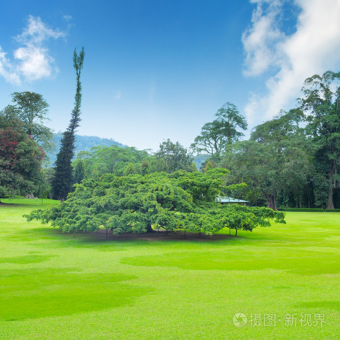 夏日公园：阳光微风，享受天伦之乐