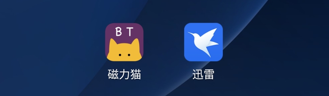 磁力猫app：惊艳启程，掌握震撼体验