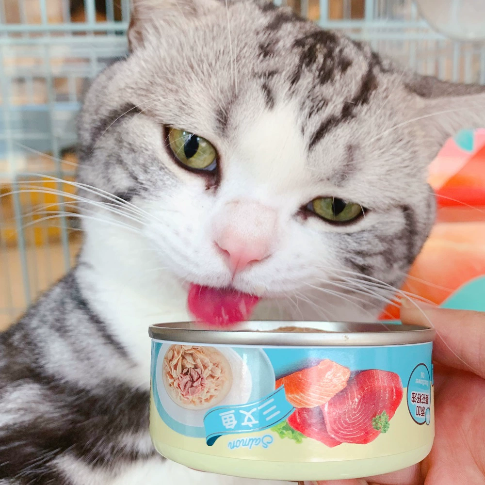 猫咪大战争无限猫罐头_猫咪大战争罐头_猫咪大战争无限罐头版10.4