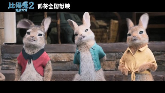兔兔达达兔影视_兔兔达达兔影视_兔兔达达兔影视