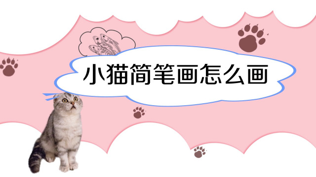 猫写字的图片_猫字怎么写_猫写字简笔画