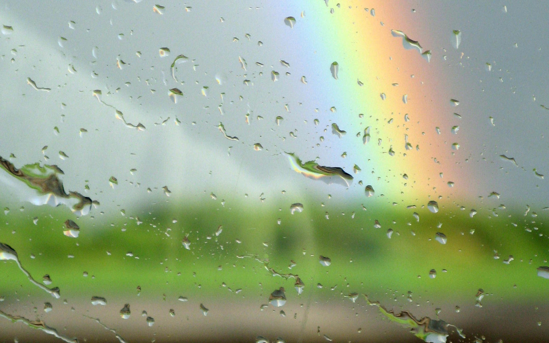 细雨纷飞，享受小夜时雨的绝妙秘诀