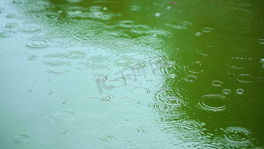 小夜时雨快刀_小夜时雨是什么刀_小夜时雨