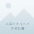 游戏卡是手机好卡吗-游戏卡大揭秘！你买的到底是好卡还是坑爹卡？