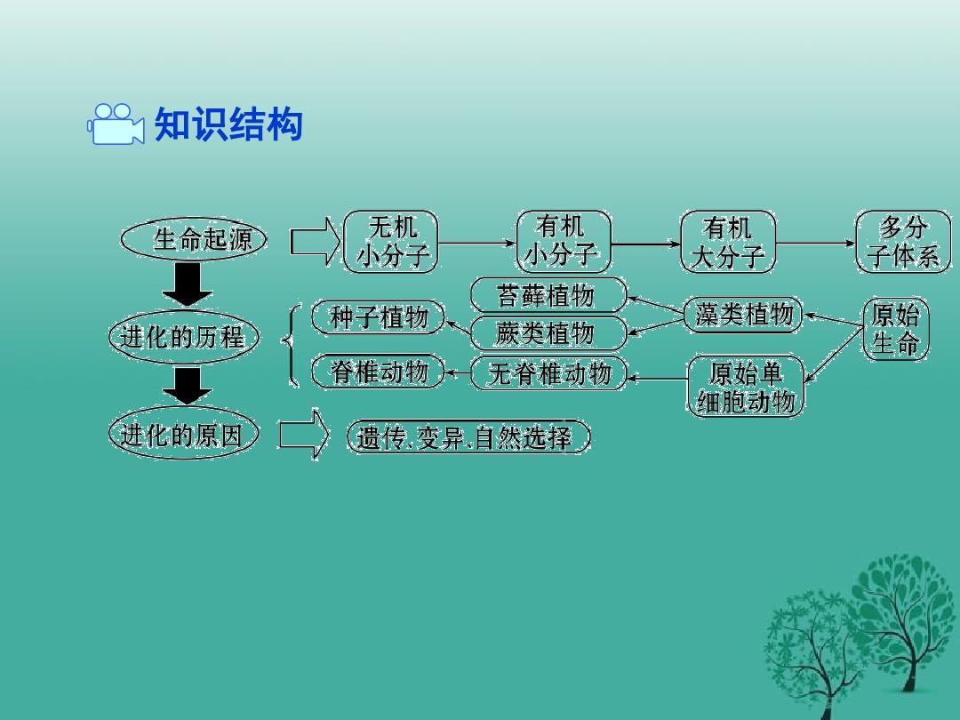 物种起源 手机游戏攻略-进化大师攻略：物种起源技能点分配和生态系统平衡